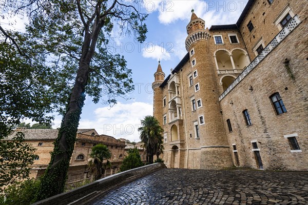 Palazzo Ducale di Urbino