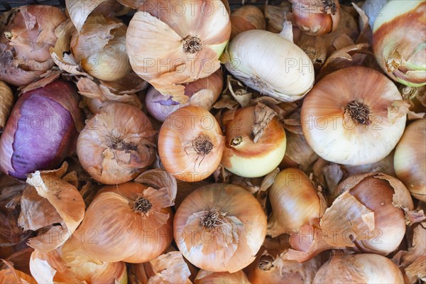 Top view bunch organic onions. Resolution and high quality beautiful photo