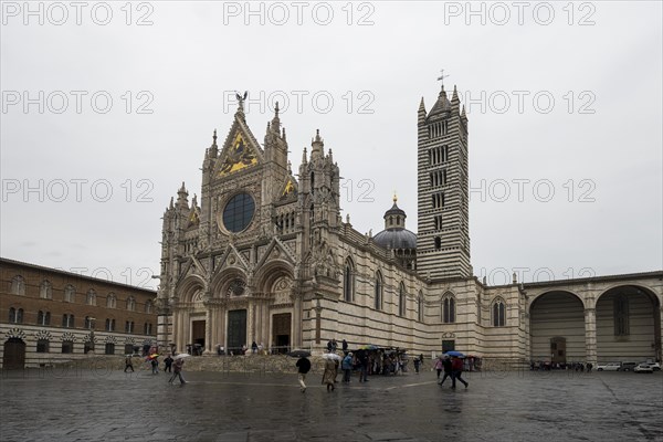 Siena Cathedral in the rain