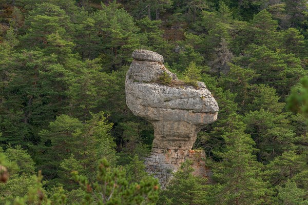 Remarkable rock called La Poule de Houdan in Cevennes National Park