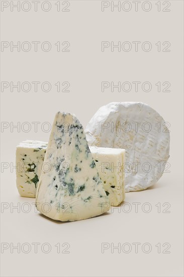 Various types of blue mold cheese