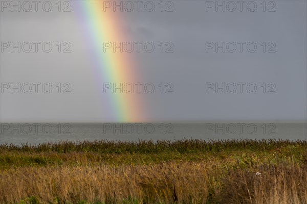 Rainbow over the Wadden Sea National Park