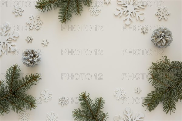 Top view natural pine needles with snowflakes. Resolution and high quality beautiful photo