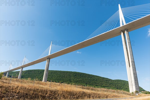 Millau Viaduct bridge