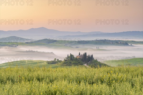 Podere Belvedere