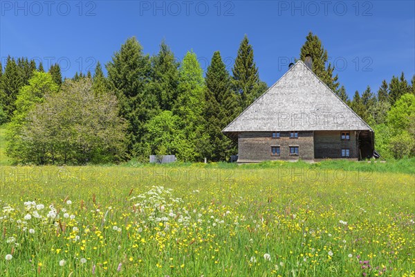 Black Forest House near Schluchsee