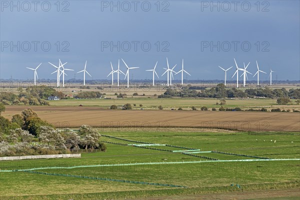 Wind farm near Rye