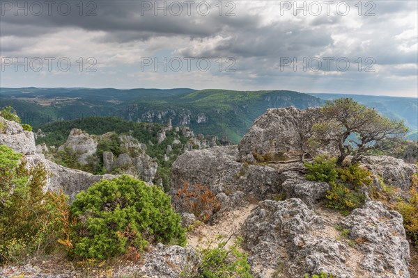 The city of stones