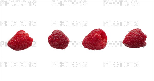 Four raspberries in a line isolated on white