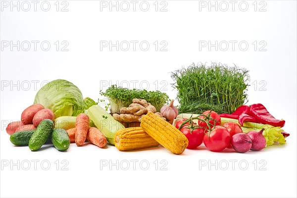 Pile of fresh juicy vegan food on white background. World food day concept