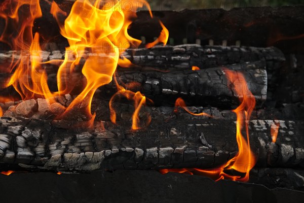 Close up view of burning firewood in the fire outdoor