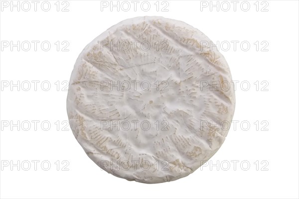 Camembert cheese isolated on white background