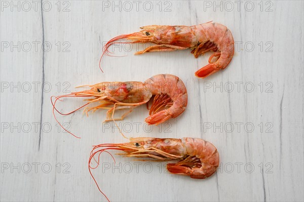Three fresh raw prawns on wooden background