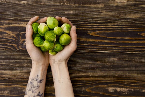 Overhead view of fresh brussel sprout in hands over wooden background