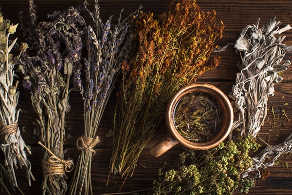 Flat lay cup herbal tea with plants