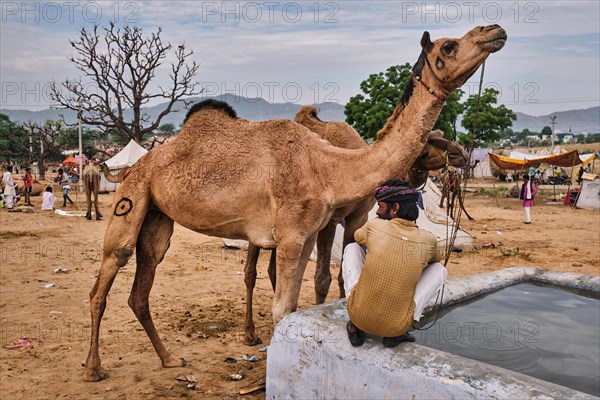 Pushkar