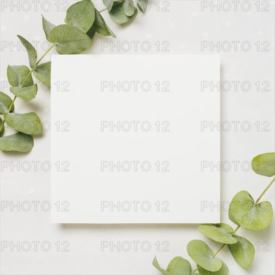 Leaves twigs corner white wedding card against backdrop