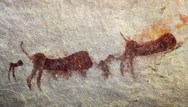 Ancient San Rock Art