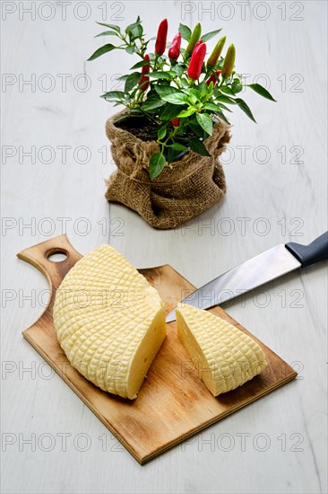 Fresh Adyghe cheese cut on slices on wooden cutting board