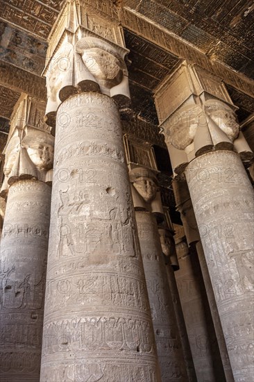 Columns and hall ceiling