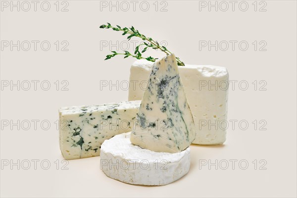 Various types of blue mold cheese