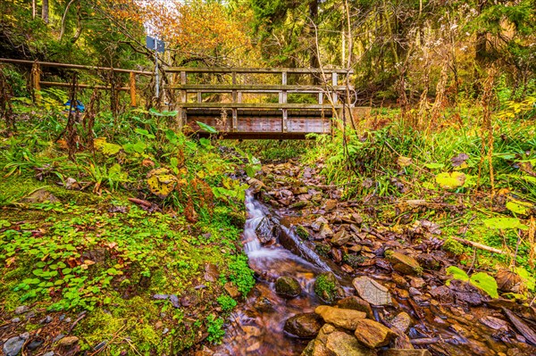 Long exposure of a small stream in the Schoenjungferngrund in the Ore Mountains below the Fichtelberg