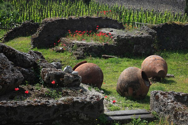 The amphora field at the Garden of Refugees