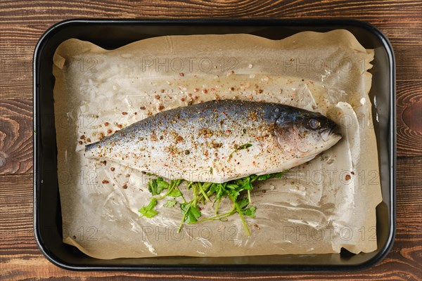 Fresh sea yellow tailed horse mackerel in baking tray
