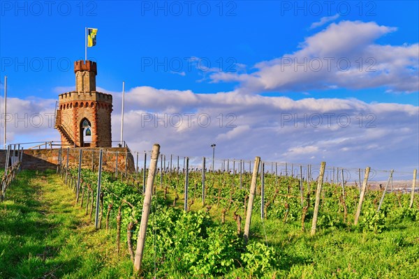 Flaggenturm Bad Duerkheim