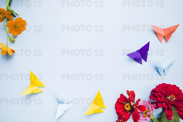Decoration with calendula marigold flowers origami paper butterflies blue background