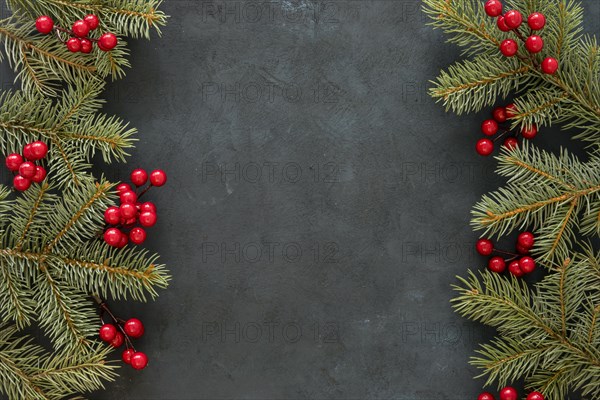 Top view pine needles mistletoe. Resolution and high quality beautiful photo