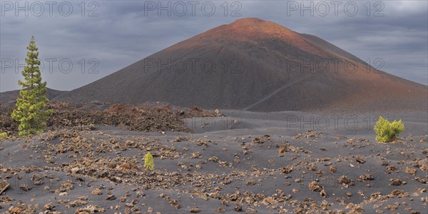 Chinyero Volcano