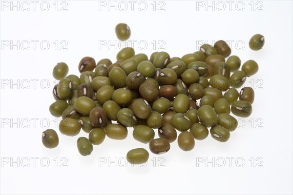 Mung bean