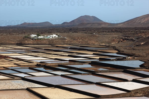 The Salinas de Janubio