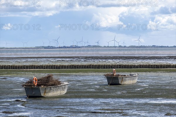 Boats with fascines