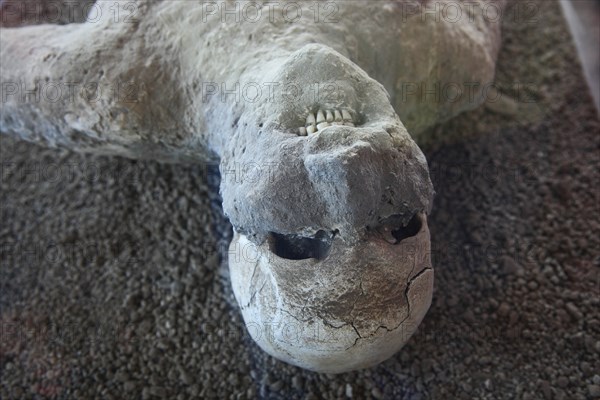 Victims of the ash rain in the garden of the refugees