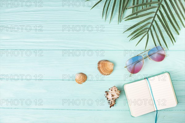 Composition sunglasses with notebook palm leaves