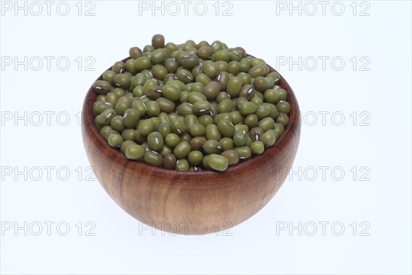 Mung bean