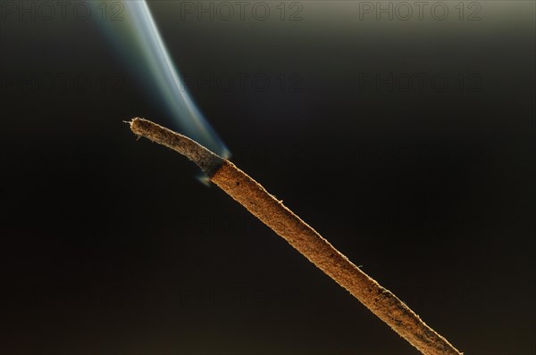 Trajectory of incense smoke in the air showing different shapes. France