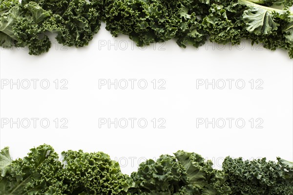 Top view kale salad with copy space. Resolution and high quality beautiful photo