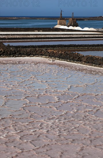 The Salinas de Janubio