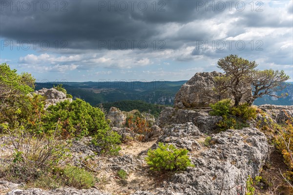 The city of stones