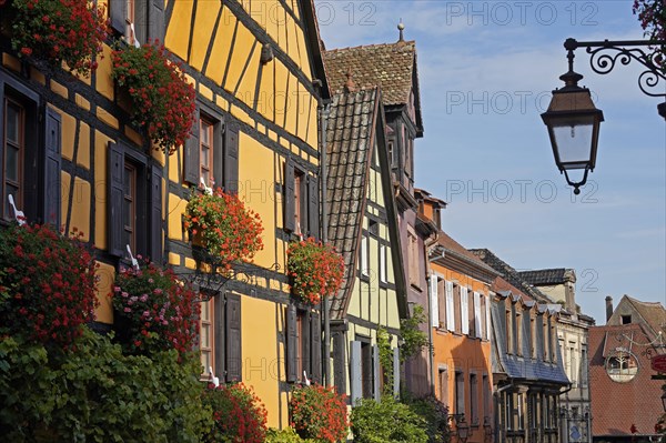 Colourful half-timbered houses in the historic old town of Riquewihr