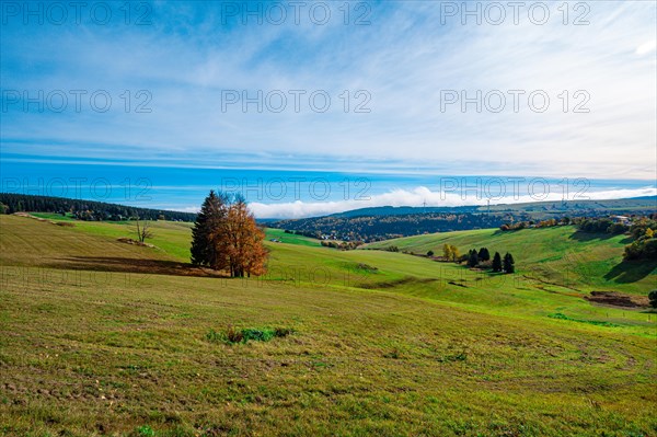 A meadow with a colourful deciduous tree at the foot of the Fichtelberg mountain with a view into the valley in autumn