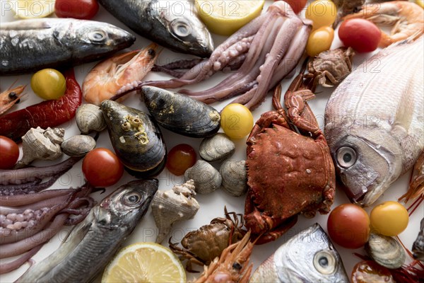 Top view assortment seafood with tomatoes. Resolution and high quality beautiful photo