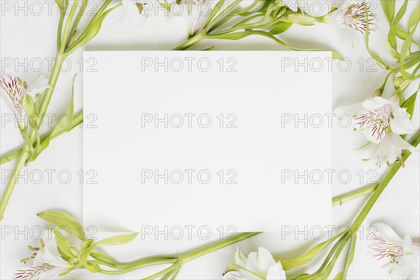 White blank placard surrounded with