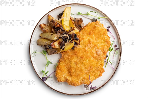 Tasty schnitzel in breading with fried potato