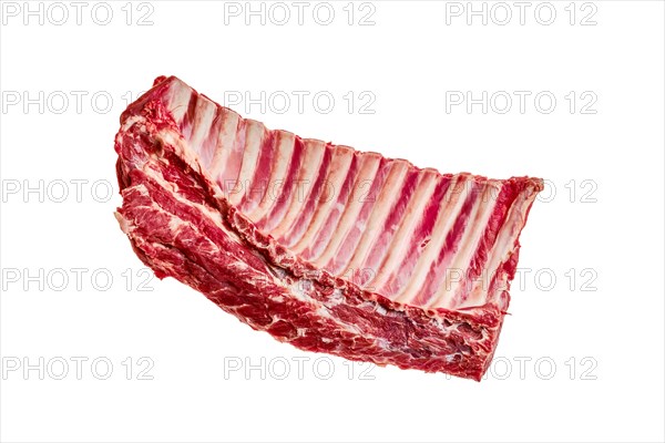 Fresh raw rack of lamb isolated on white background