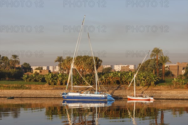 Excursion boat anchors on the shore