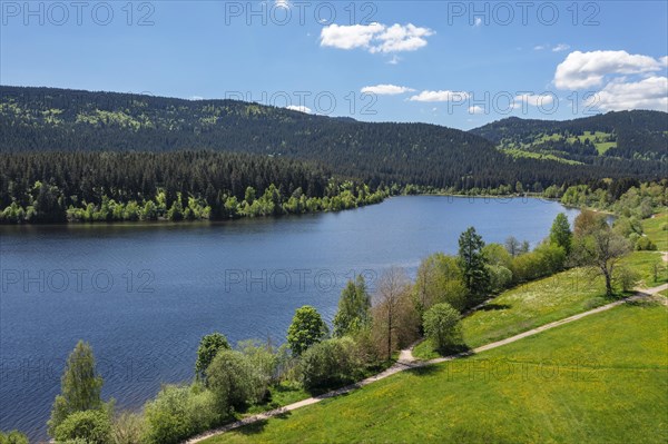 Schluchsee